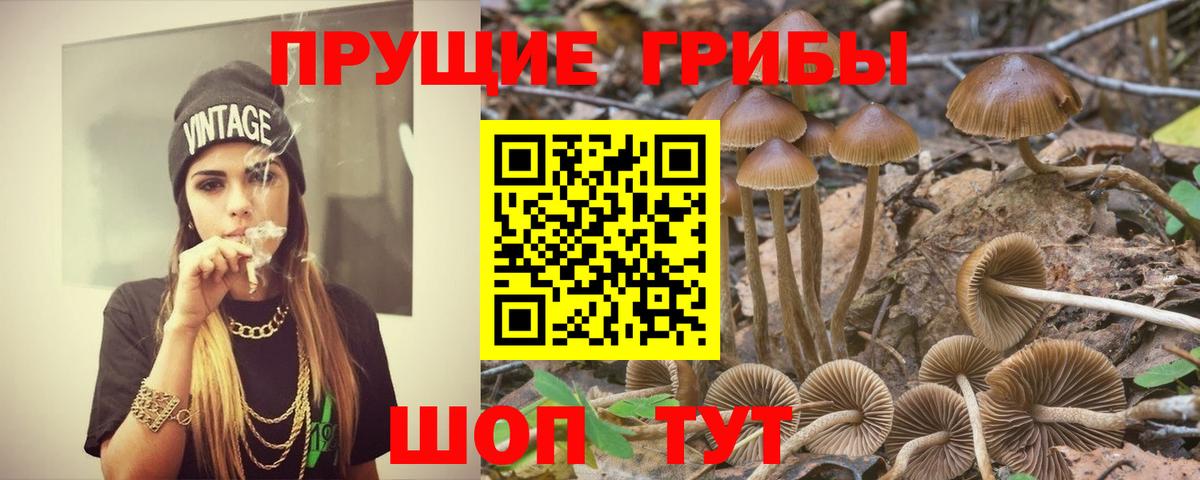 Псилоцибиновые грибы MAGIC MUSHROOMS Георгиевск